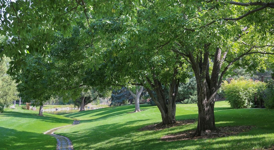 Servicios de jardinería comercial en Fort Collins, CO