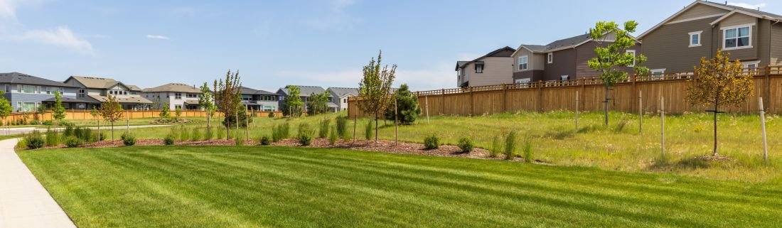 Paisaje comunitario terminado con césped, árboles y plantas autóctonas en el área metropolitana de Denver